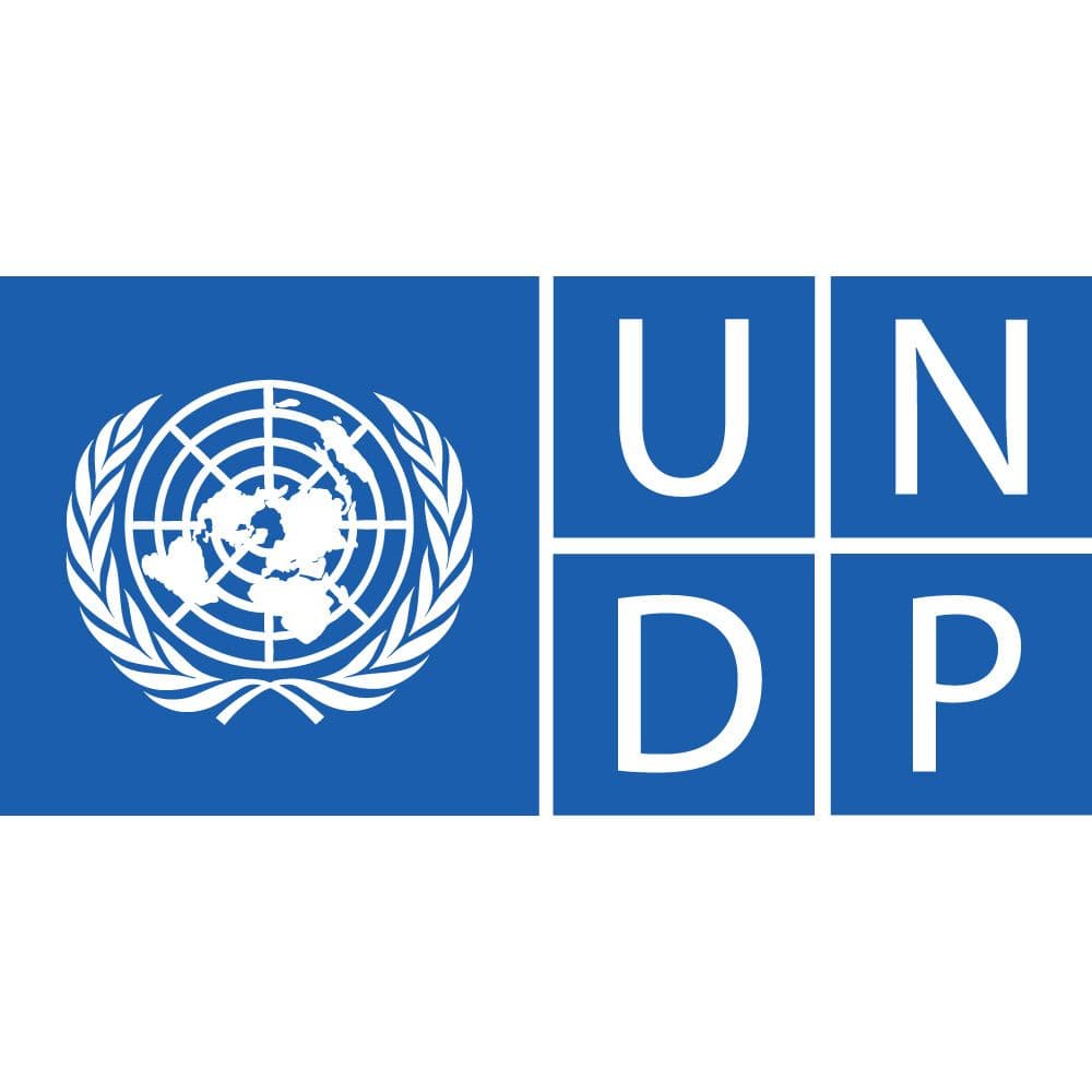 UNDP Accelerates Research on Sustainable CBD Transformation
