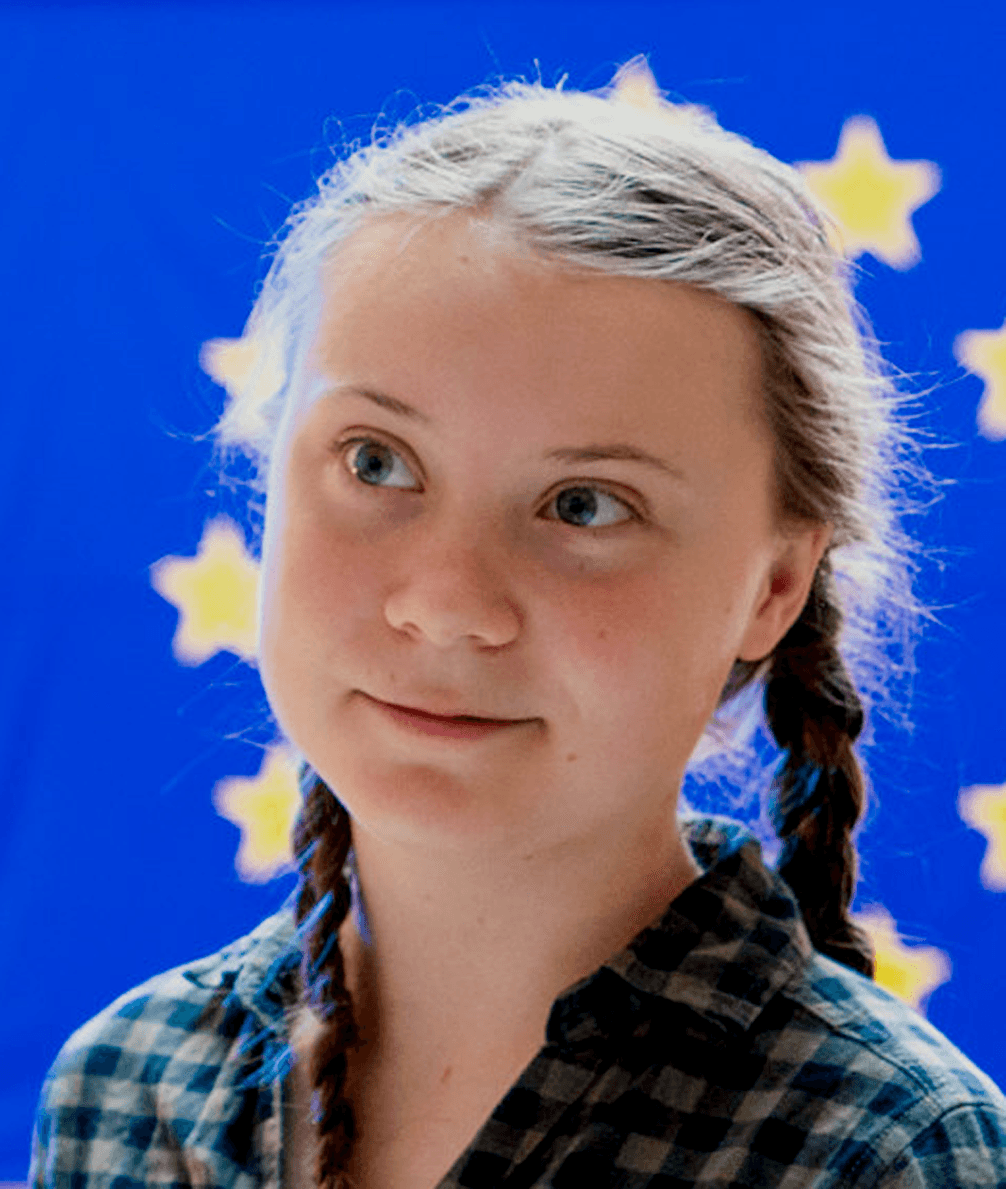 Examining the discussion about Greta Thunberg in social media